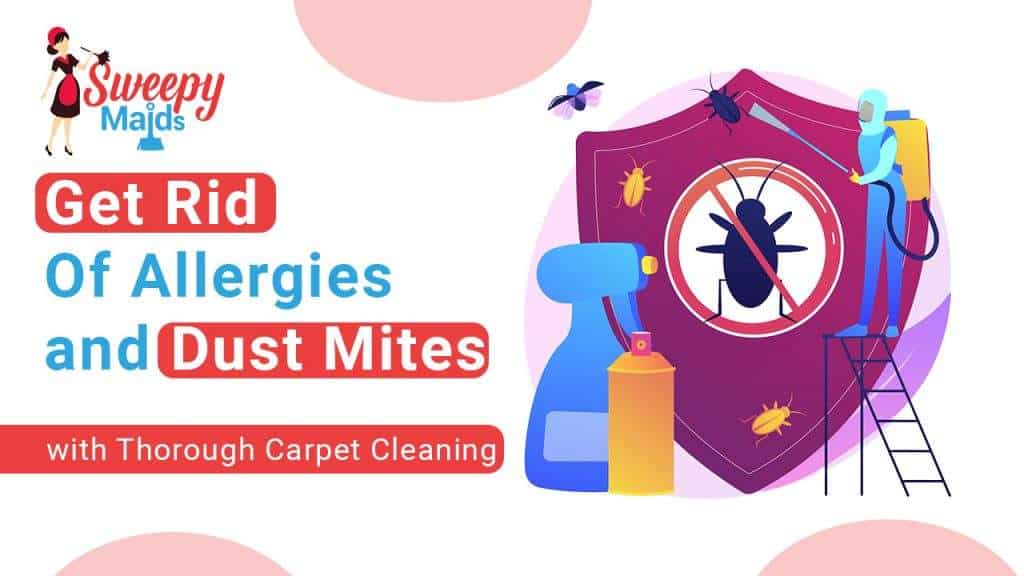 Is Hiring Professionals Beneficial For Carpet Cleaning