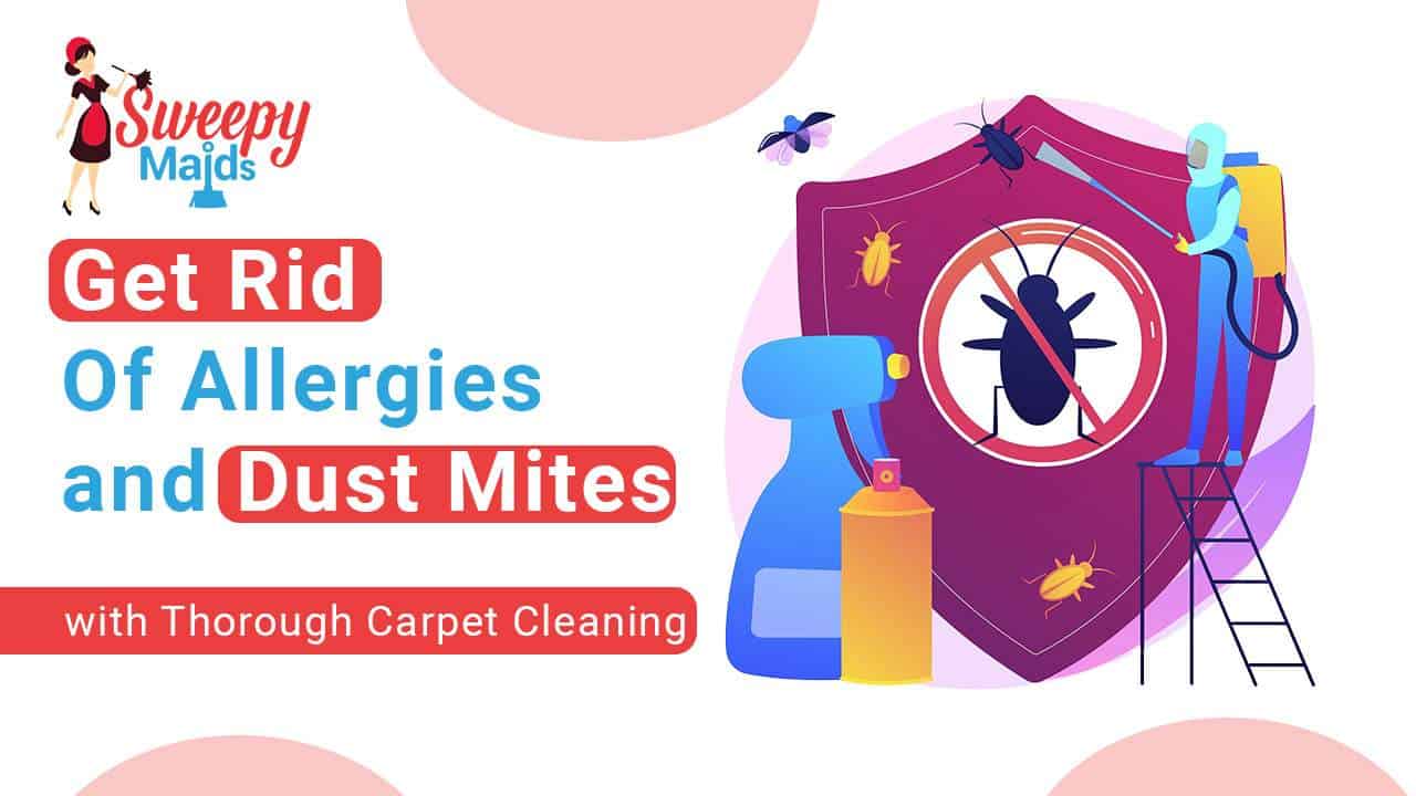 Is Hiring Professionals Beneficial For Carpet Cleaning